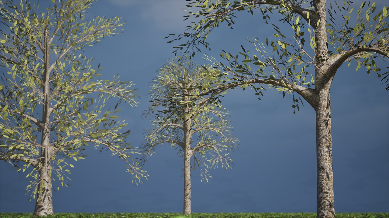 Media 1 for listing Realistic Low Poly Tree Pack 57M