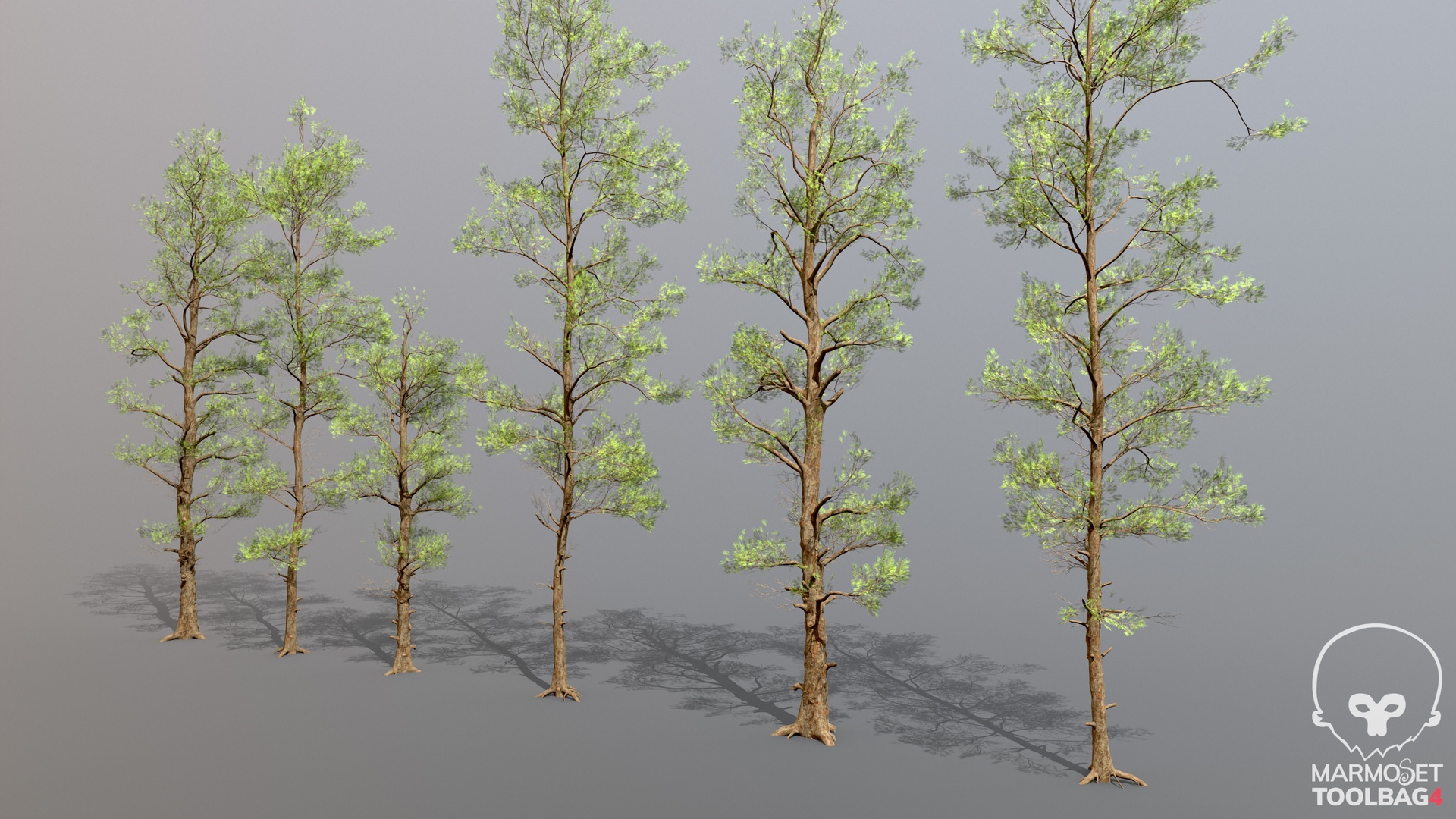 Media 1 for listing Pine low poly trees pbr