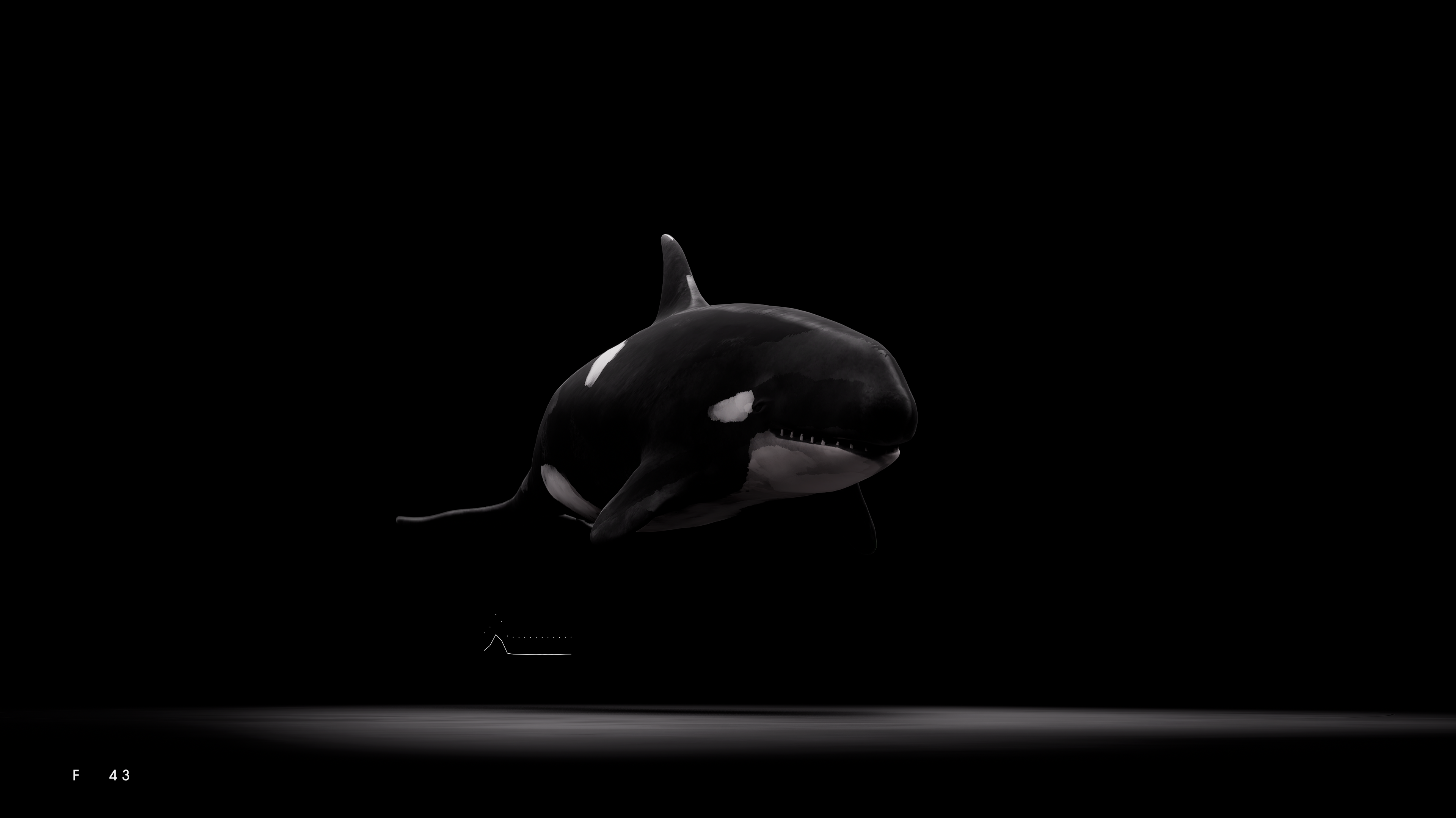 Orca 4 | Fab