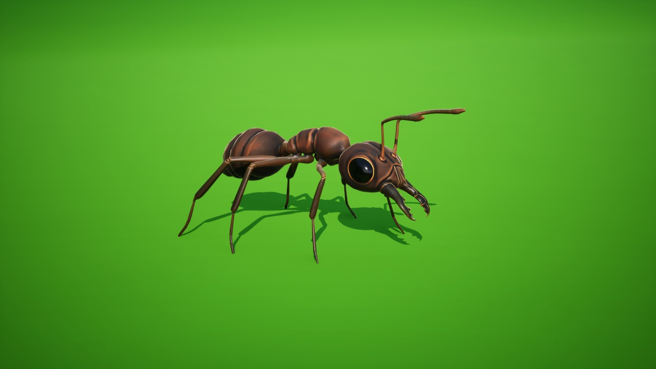 Media 1 for listing Cordyceps Ant