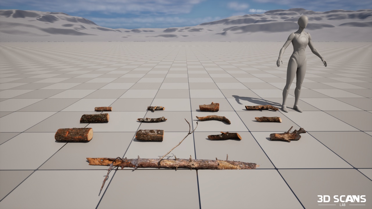 Media 1 for listing Tree Branch Pack