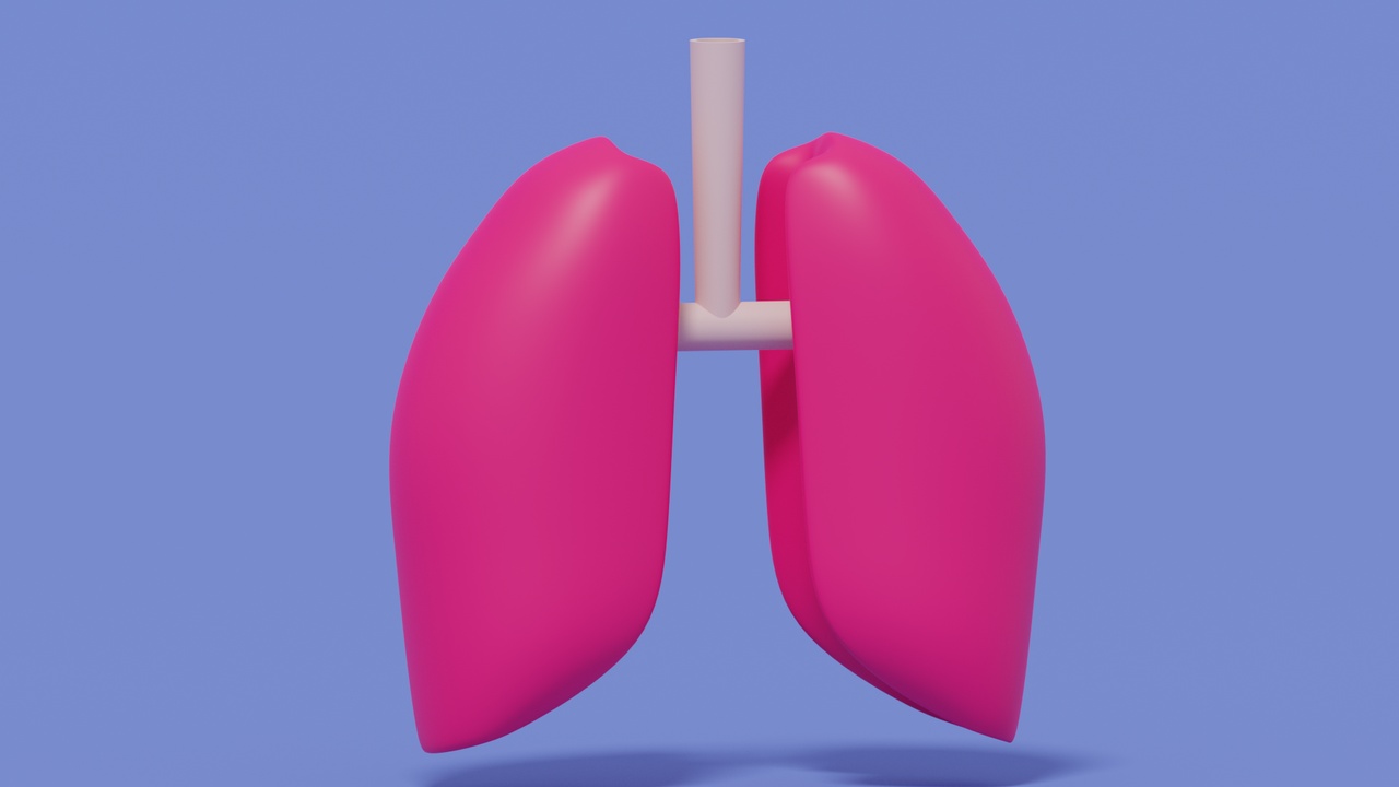 Media 1 for listing Cartoon Lungs Stylized