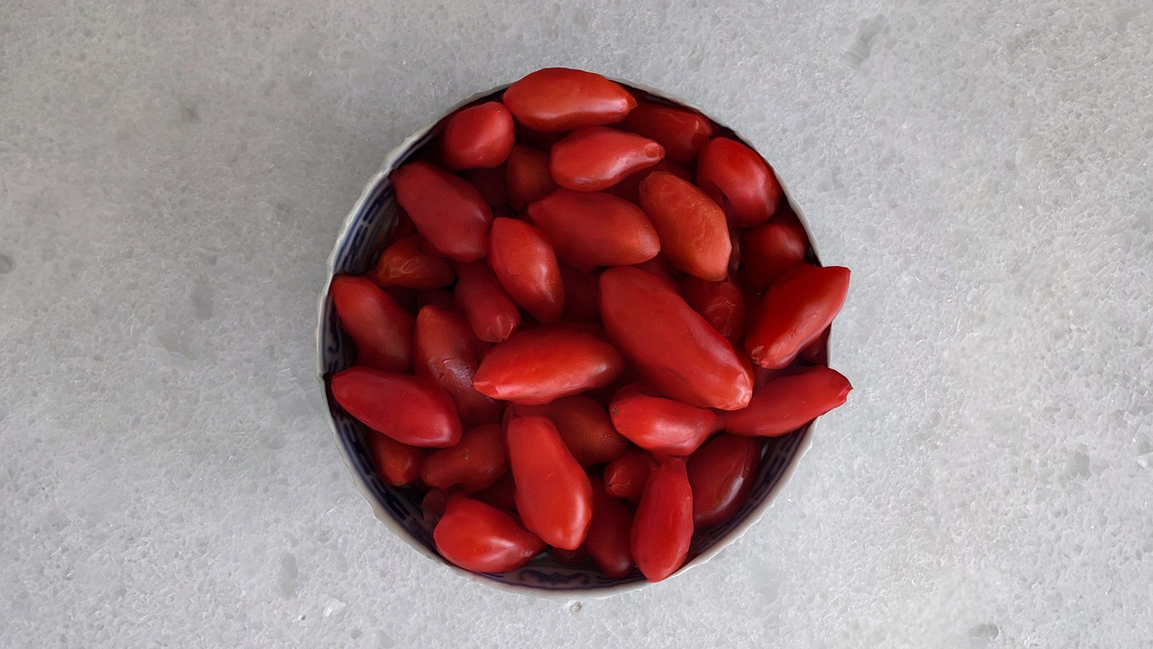 Media 1 for listing Bowl of tomatini