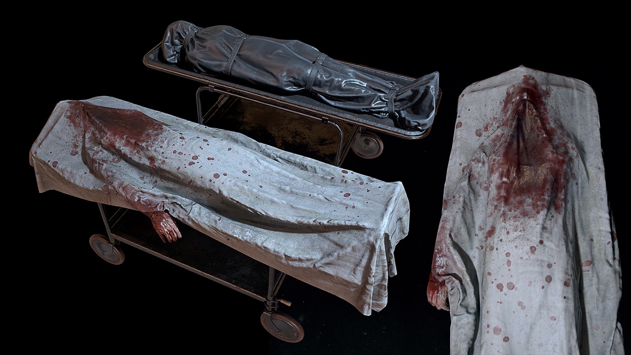 Media 1 for listing Corpses  Bodybags