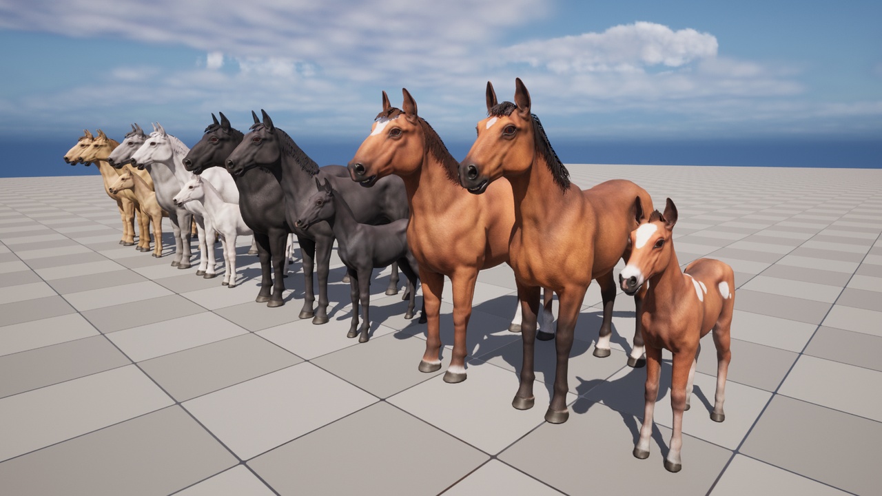 Media 1 for listing Horse Family