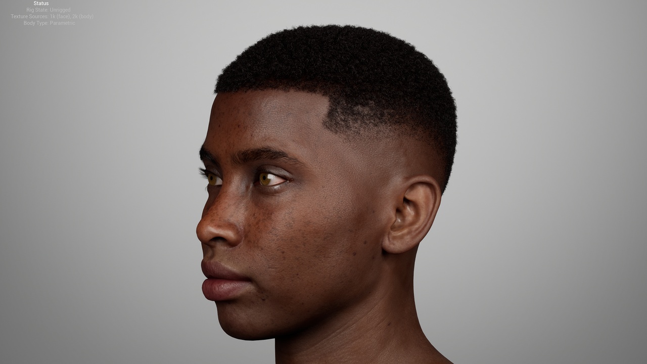 Media 1 for listing Short Coily Afro Low Drop Fade – MetaHuman Groom