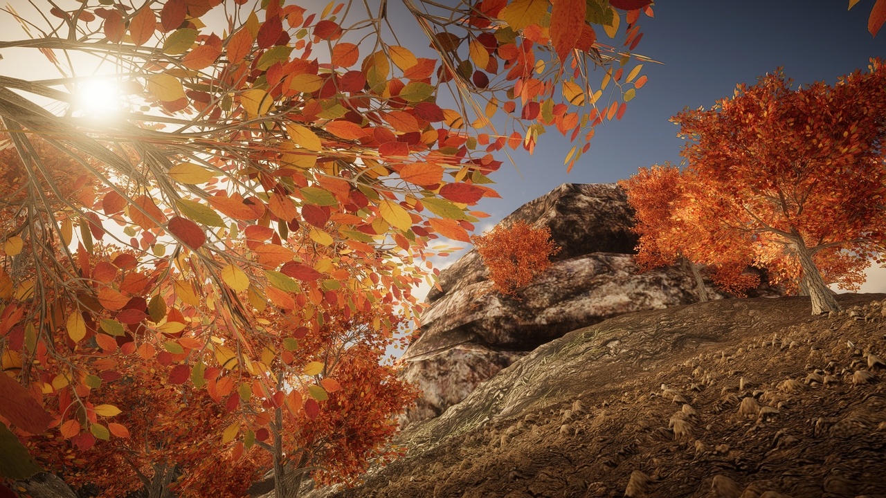 Media 1 for listing HighPoly Tree Pack #5
