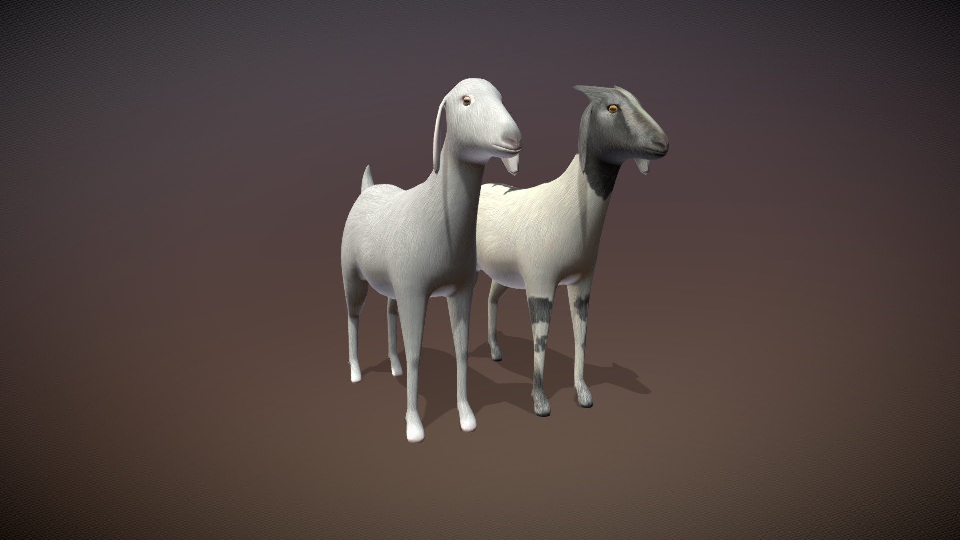 Animated Goat: 2 Texture Variants (Free Asset) | Fab