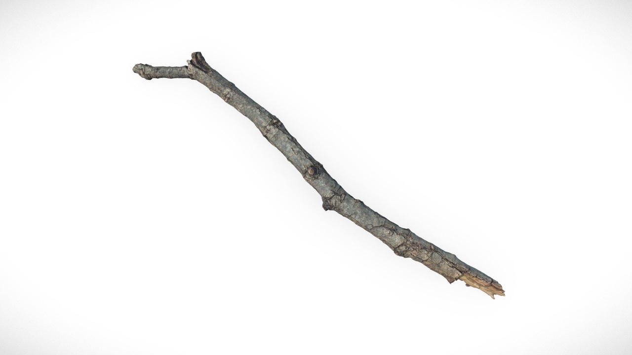 Media 1 for listing Wooden Stick - Photogrammetry