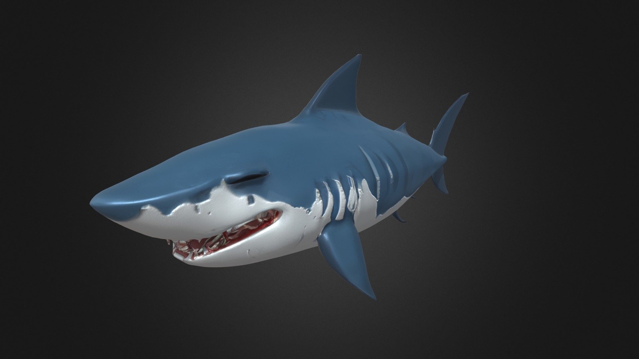 Media 1 for listing Cartoon Shark