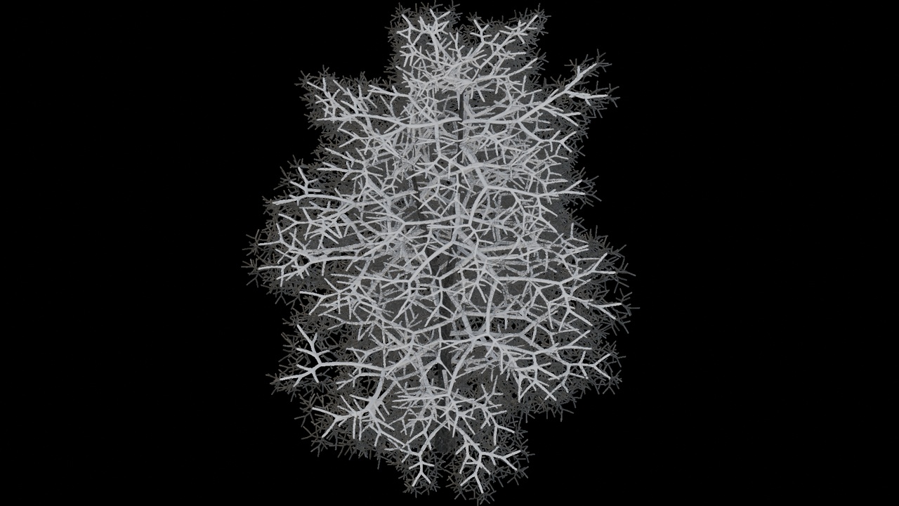 Media 1 for listing Snowy Bare Tree