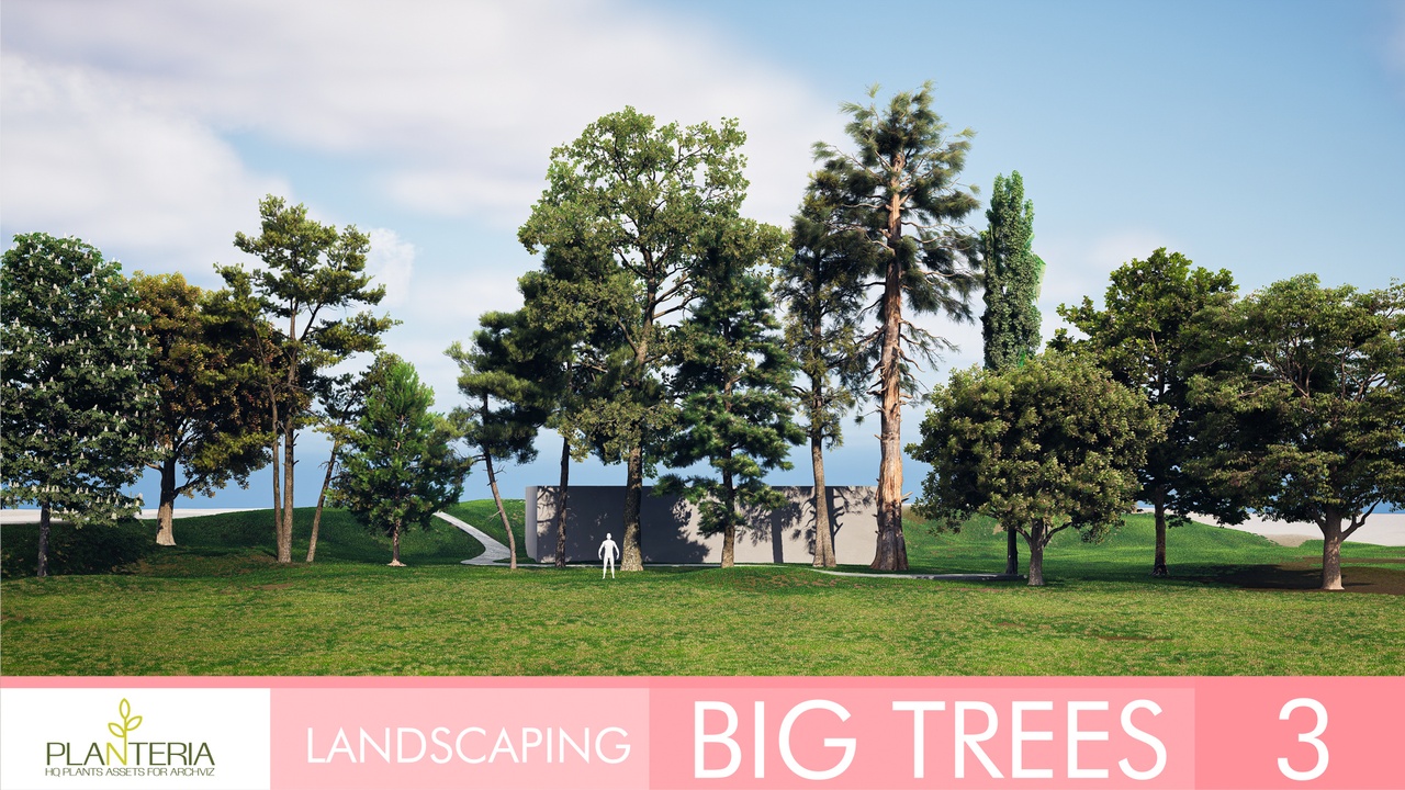 出品Landscaping Big Trees 3のメディア1