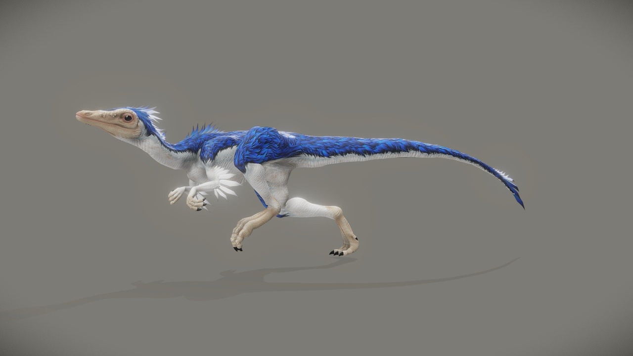 Média 1 pour l'article Compsognathus Longipes