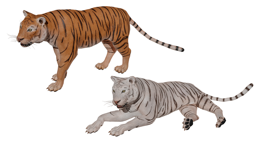 Tiger | Fab