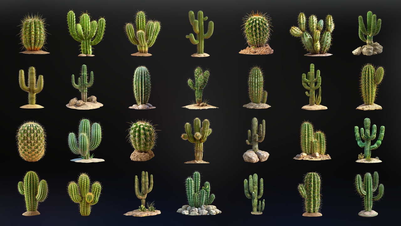 Media 1 for listing Desert Cactus - Icon Pack