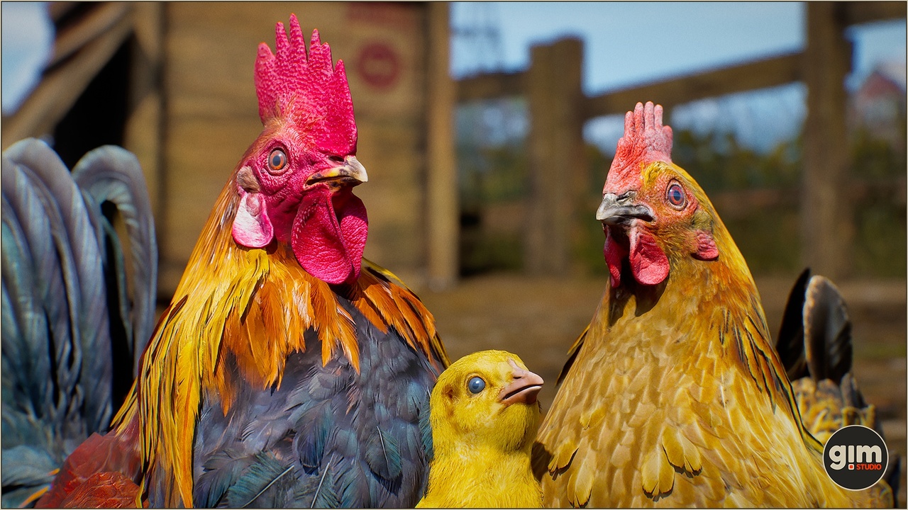 Media 1 for listing Animalia - Chicken (pack)