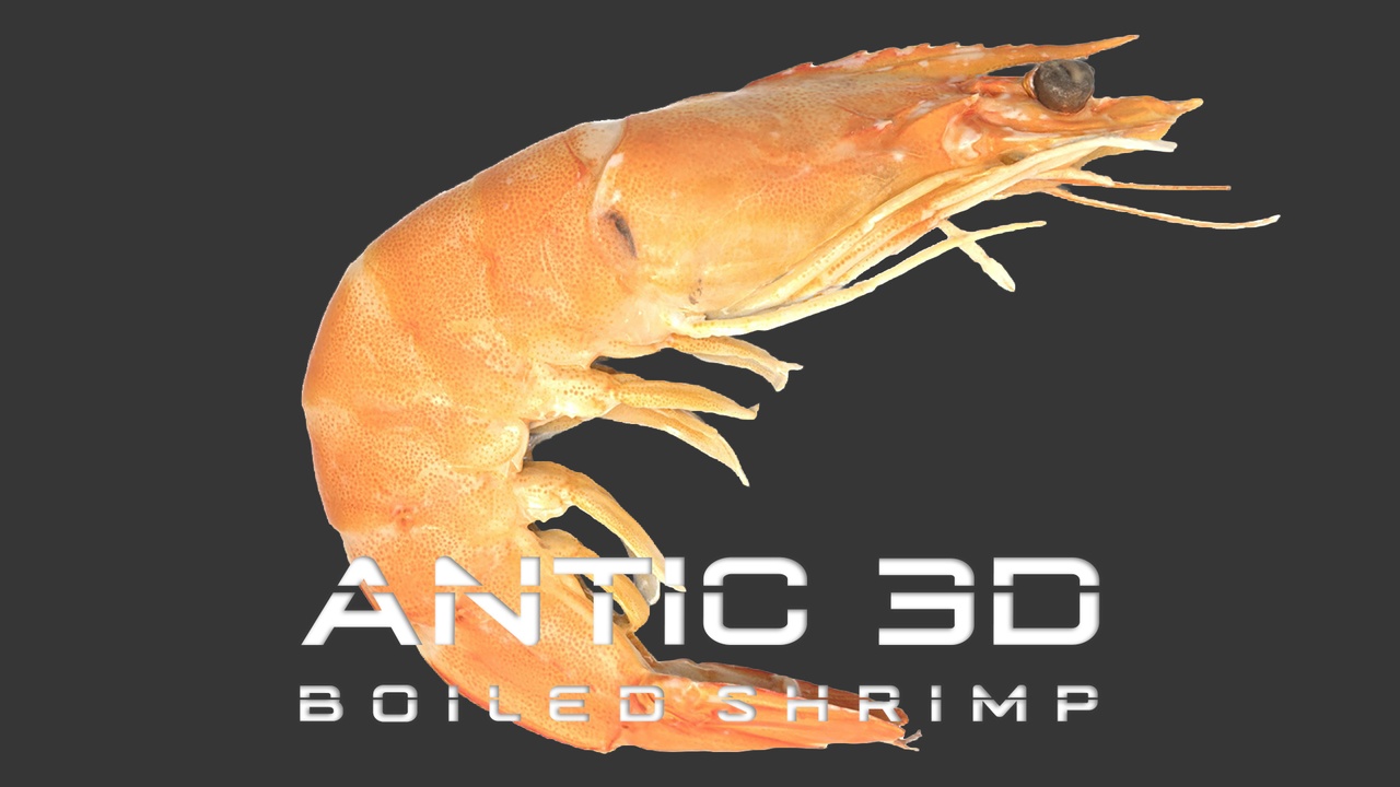 Media 1 for listing Boiled Shrimp