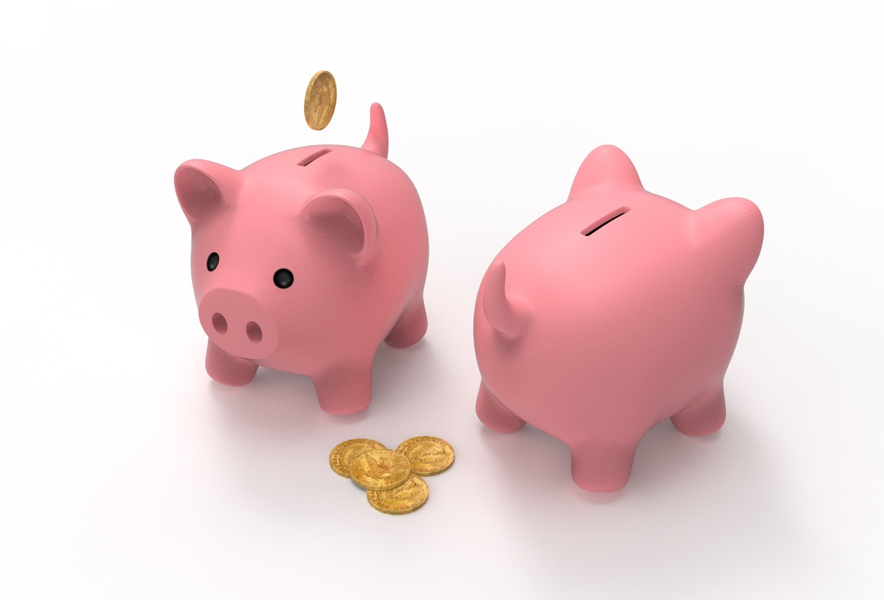 Media 1 for listing Piggy Coin Bank