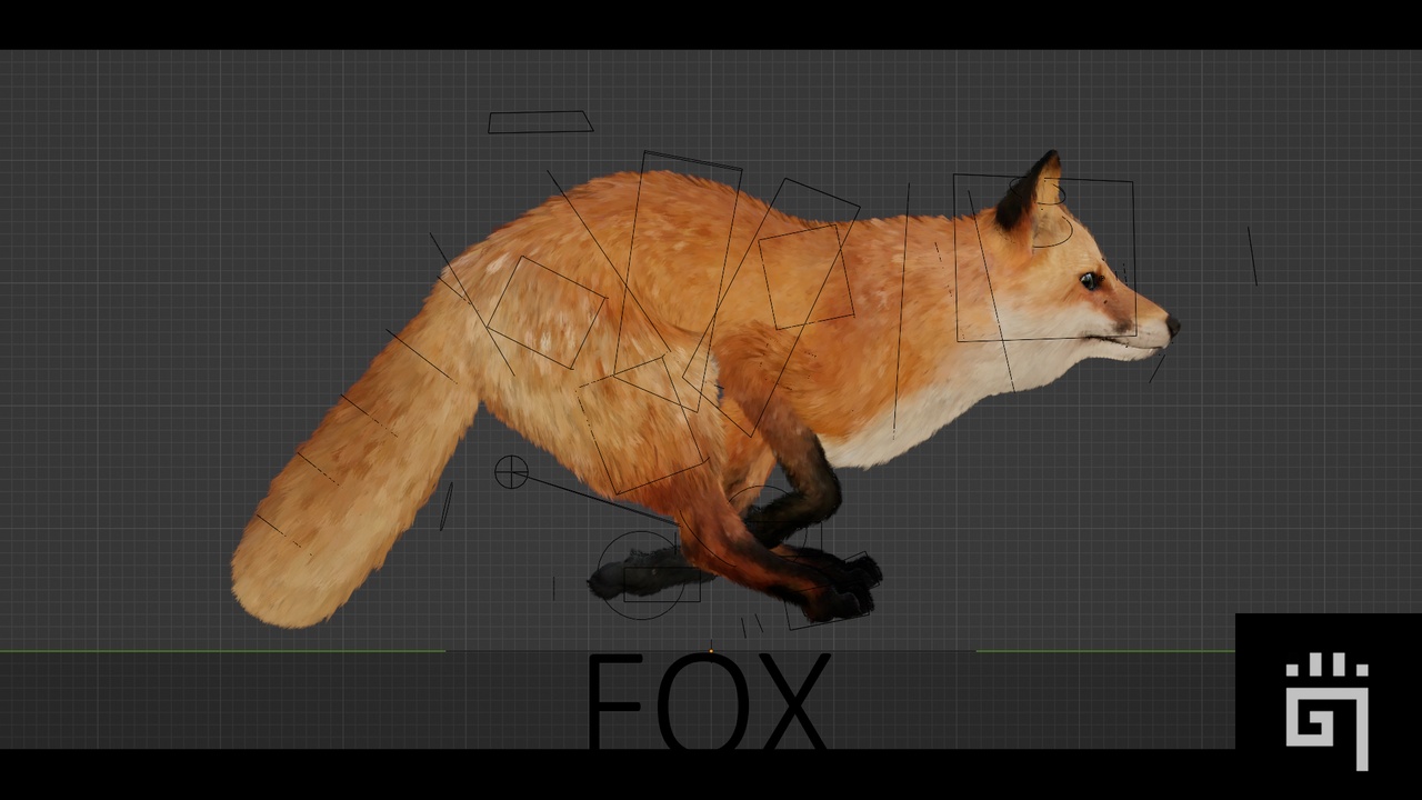 Media 1 for listing Fox
