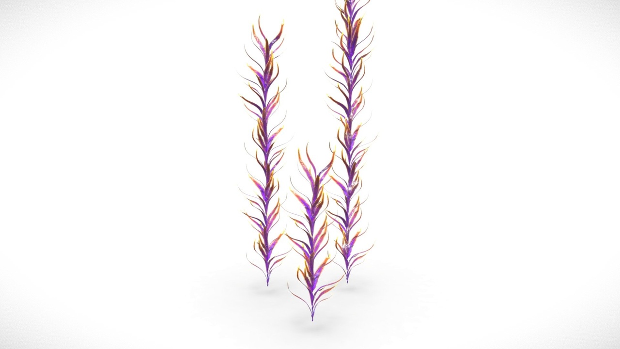 Média 1 pour l'article Alien Ocean Fantasy Plant - Alien Kelp