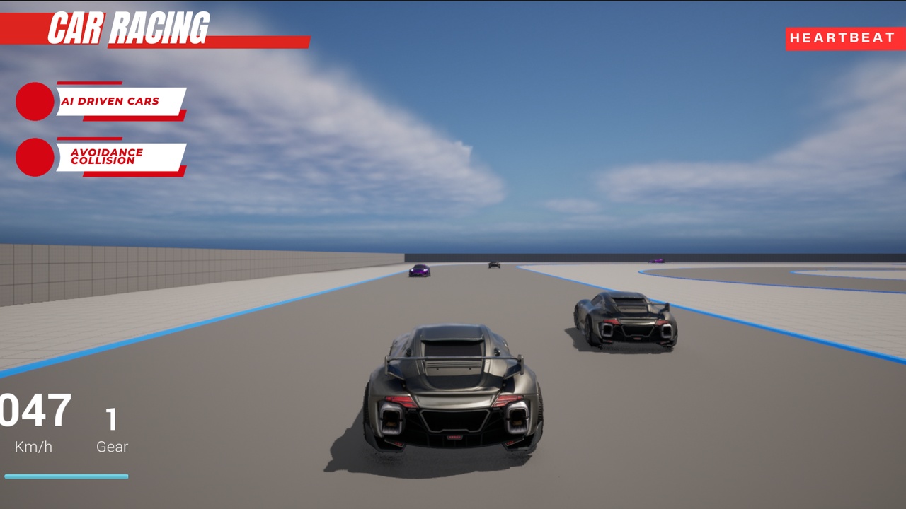 Media 1 for listing Advanced Car Racing
