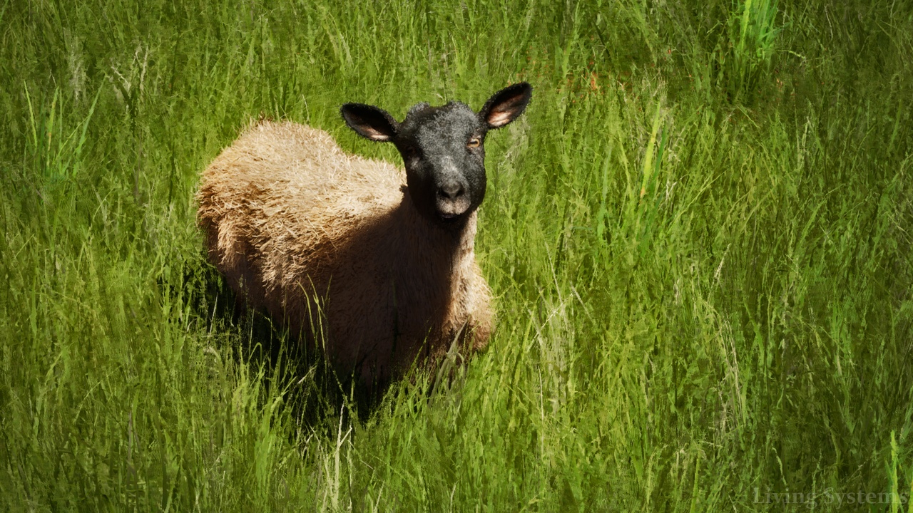 الوسائط 1 للقائمة Sheep Herd