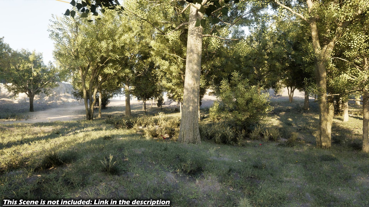 Media 1 for listing Tree Pack 01 / Foliage Environments