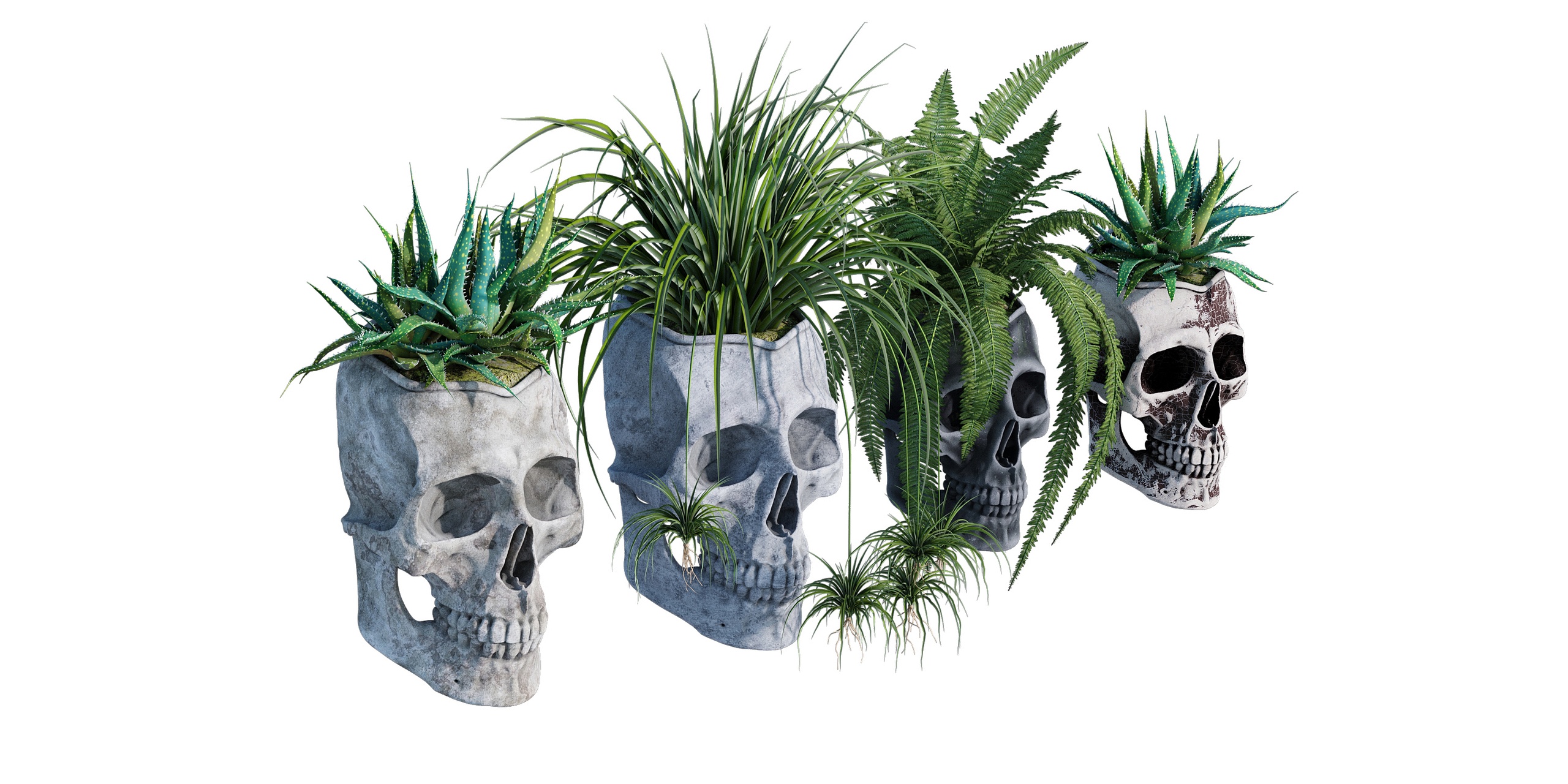 Media 1 for listing Skull Wall Planter