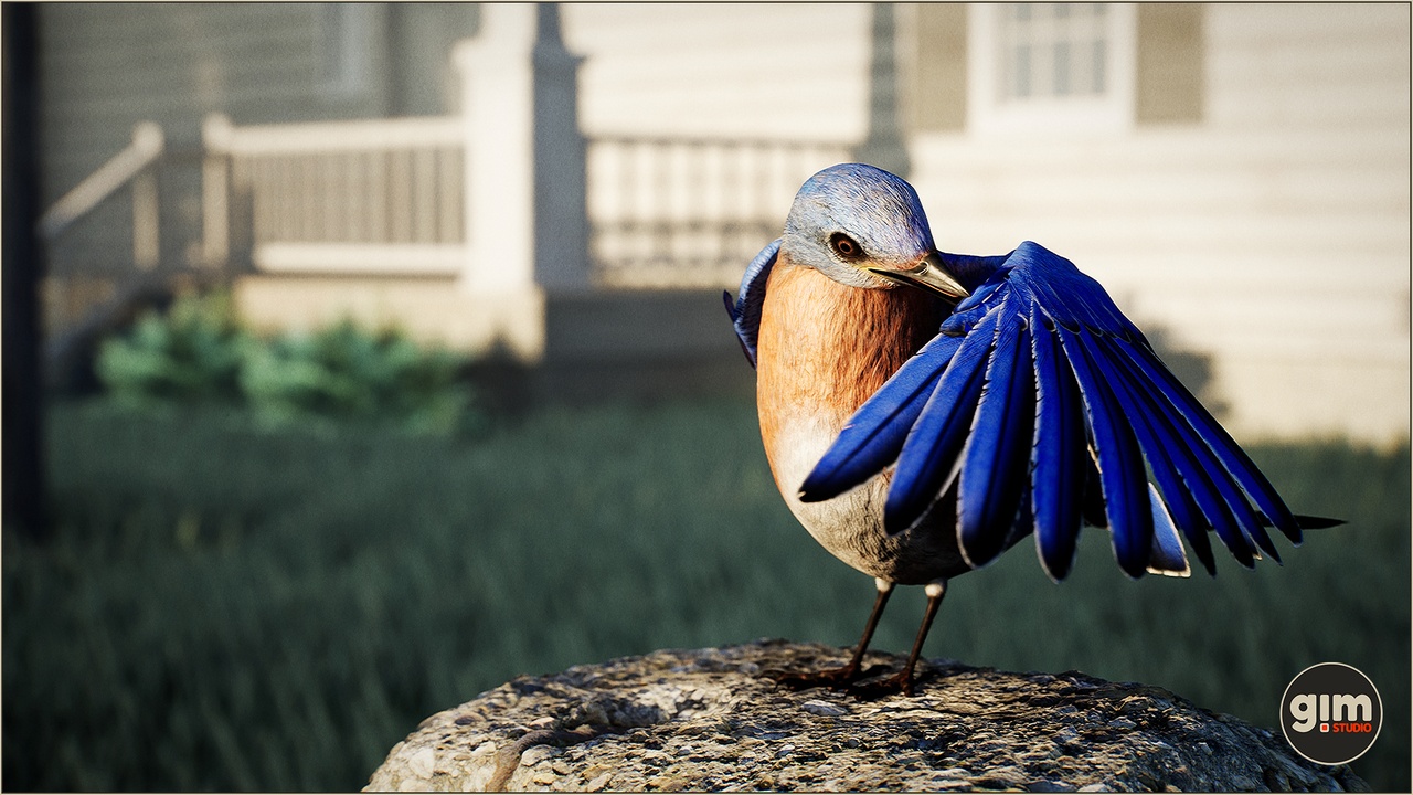Media 1 for listing Animalia - Bluebird