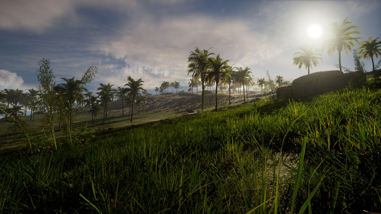 Media 1 for listing Lost Island