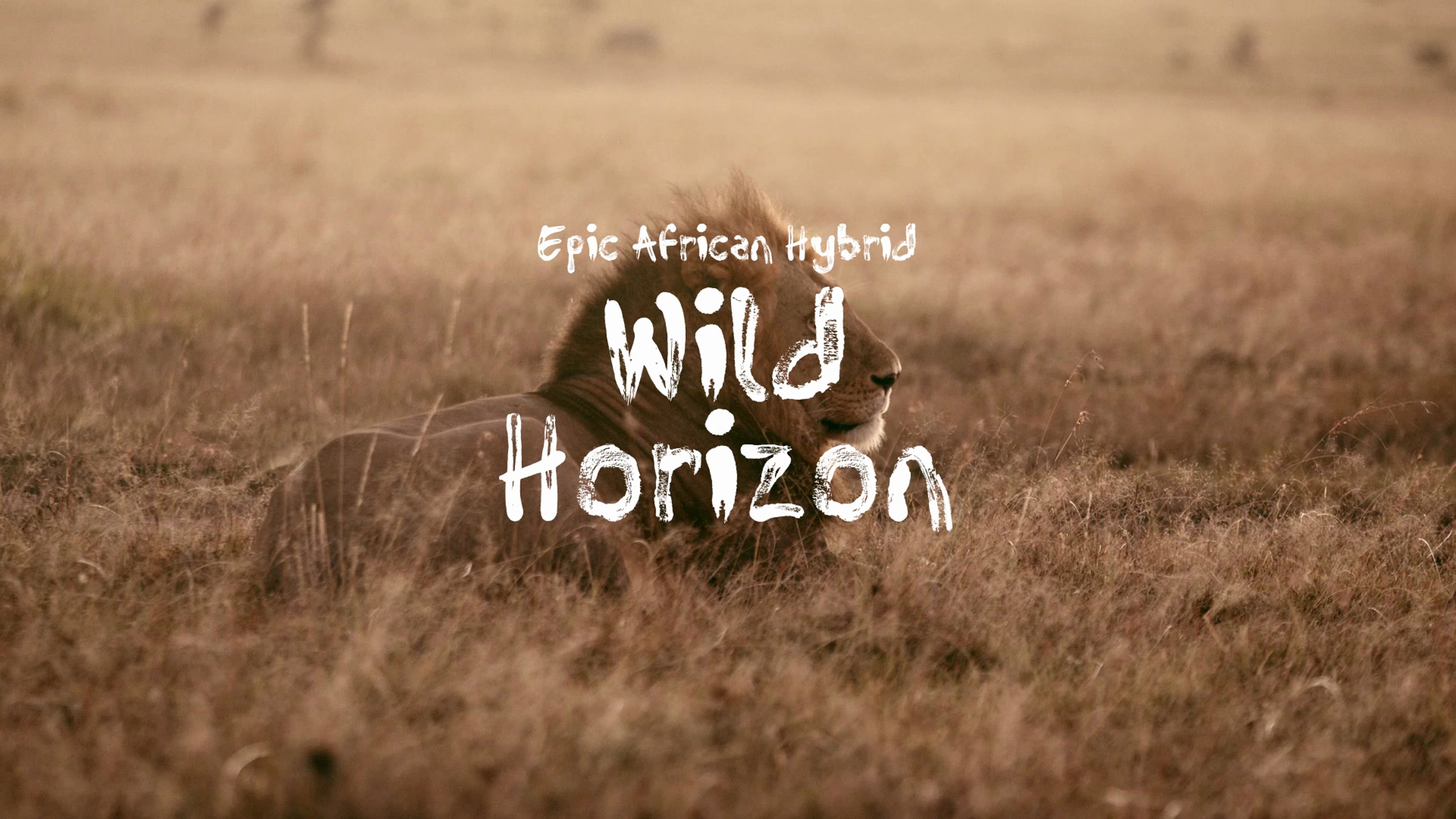 Media 1 for listing Wild Horizon / Epic African Hybrid