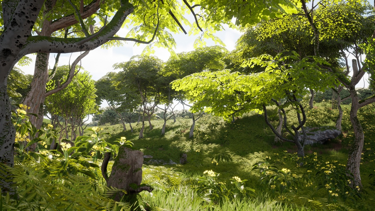 Media 1 for listing The Forest
