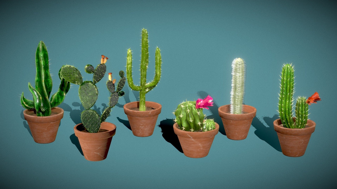 Cactus Pack / cacti in pots - low poly model | Fab