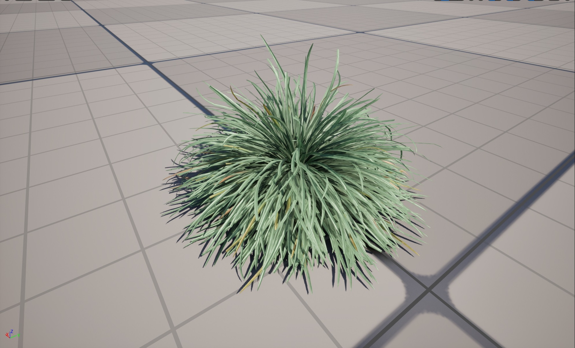 Media 1 for listing Free Nanite Plant Grass - Ophiopogon japonicus - Mondo grass