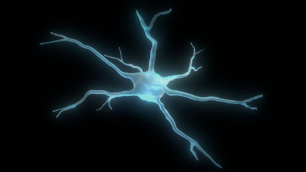 Media 1 for listing High Poly Stylizezd Neuron - Free Download