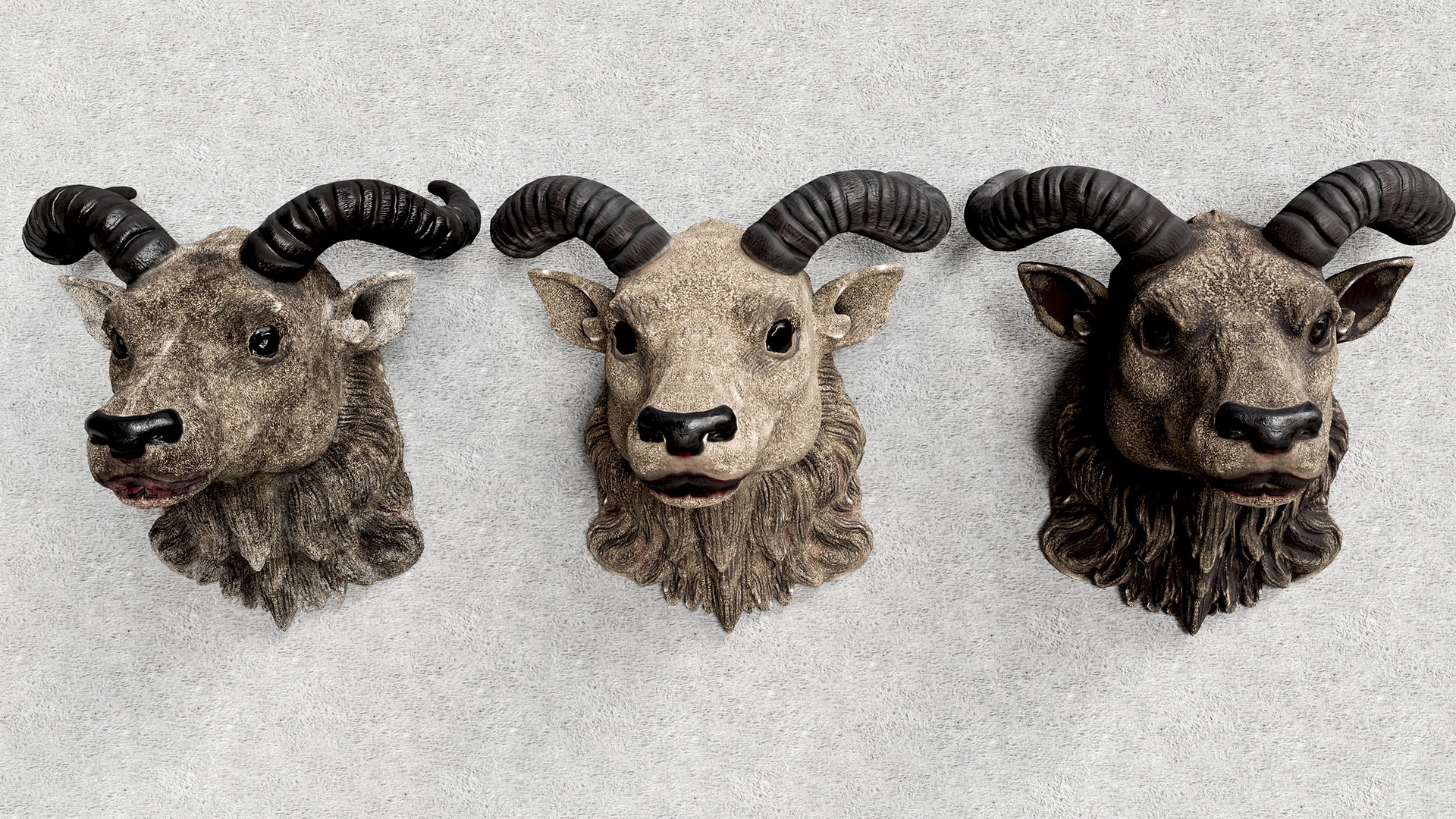 Media 1 for listing Goat Heads with Spiral Horns