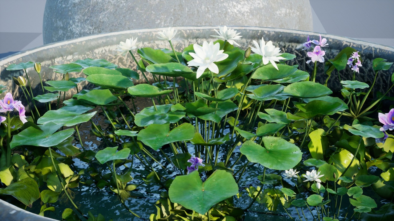 Media 1 for listing Water tank Aquatic_plants