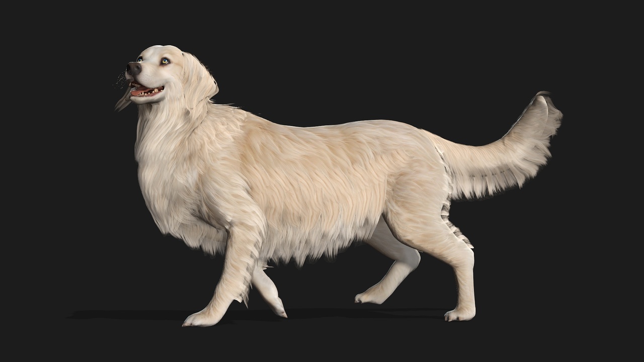 Media 1 for listing Dog_B3