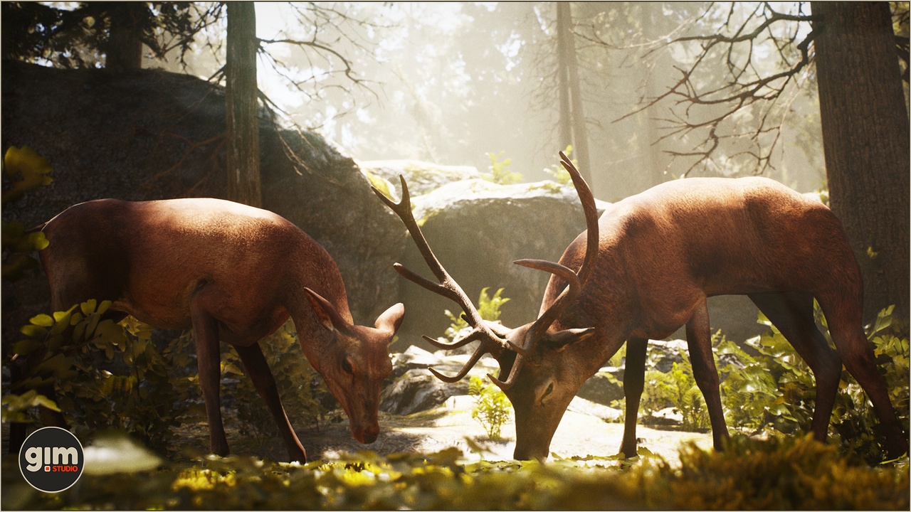 出品Animalia - Red Deer (pack)のメディア1