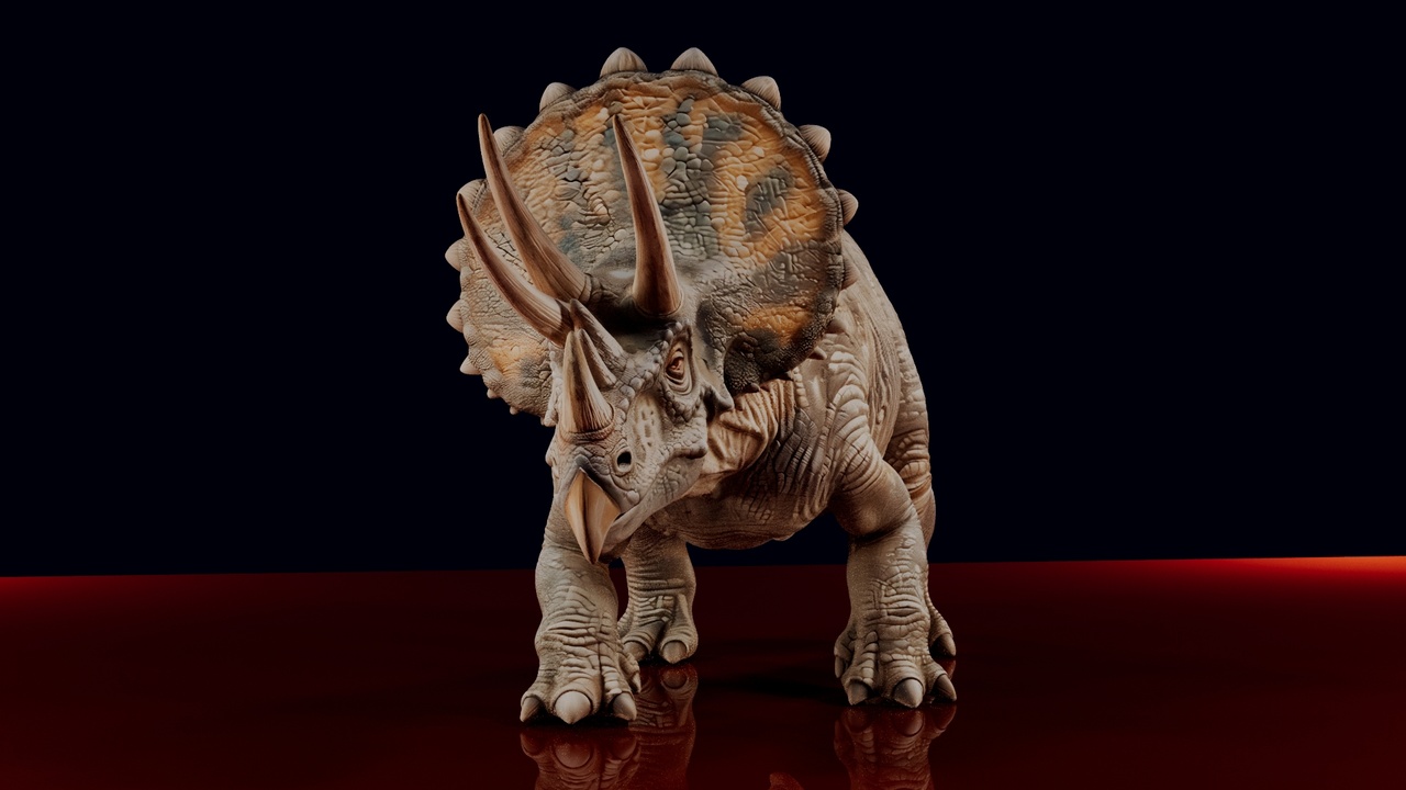 Media 1 for listing "3D Triceratops"