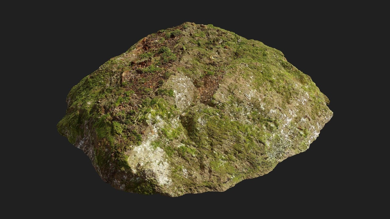 Media 1 for listing Forest European Broadleaf Ledge Rock S 02
