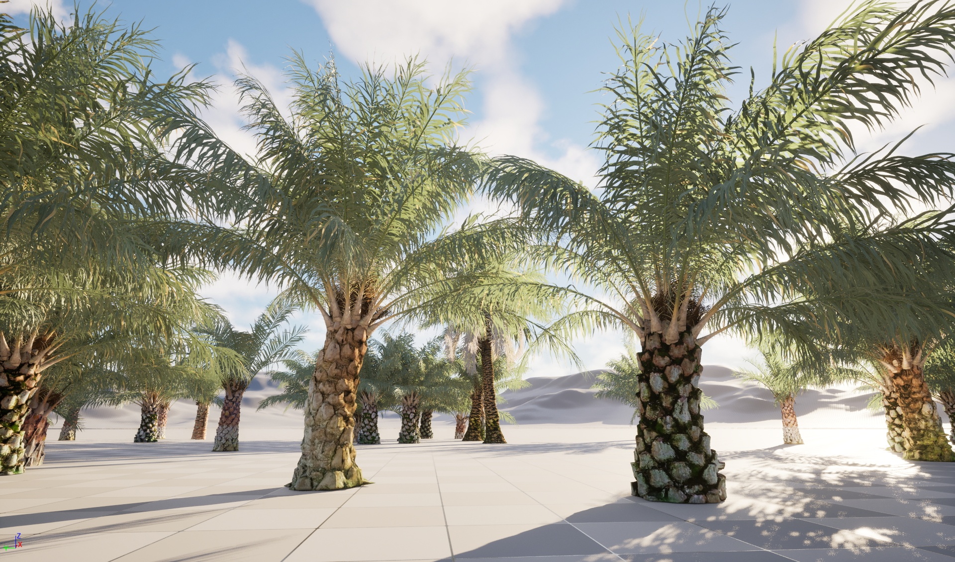 Media 1 for listing UE5 Wind Palm - Elaeis Guineensis - African Oil Palm (Highpoly + Low Poly)