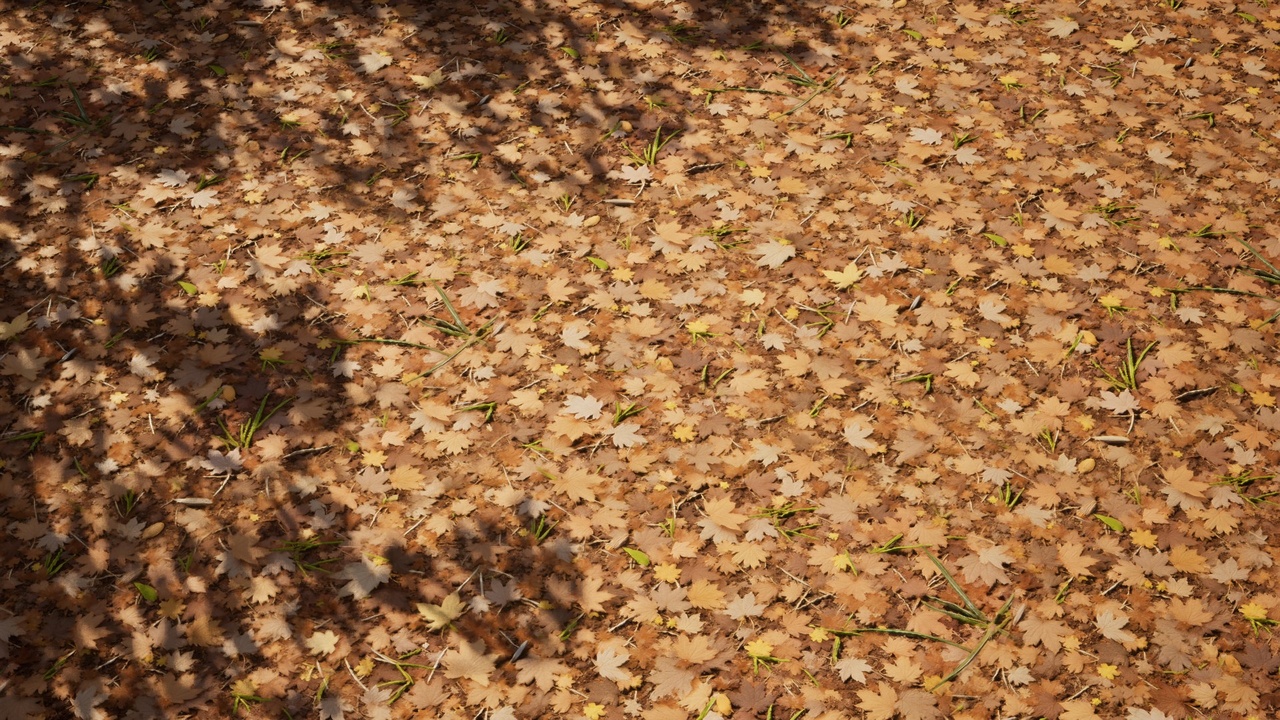 Media 1 for listing Dried Leaves Ground Vol.3