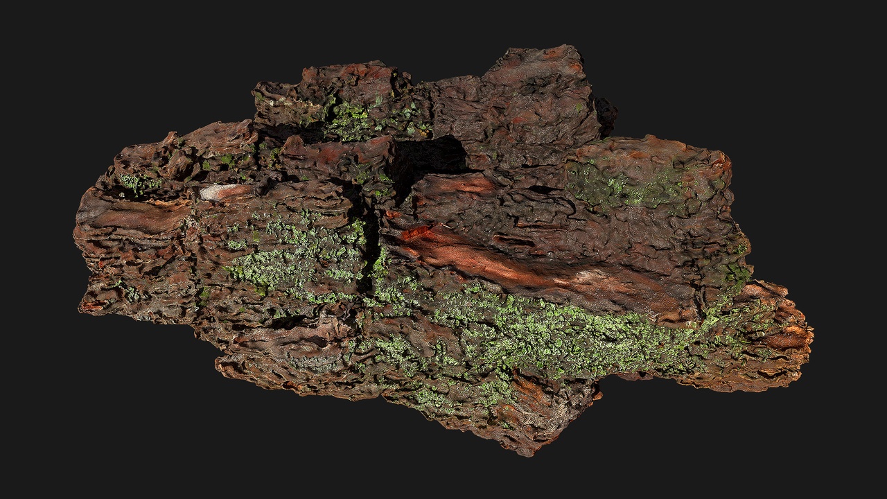 الوسائط 1 للقائمة Bark Mulch (G4ZUCS)