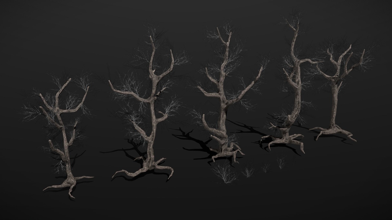 Media 1 for listing Dead Trees