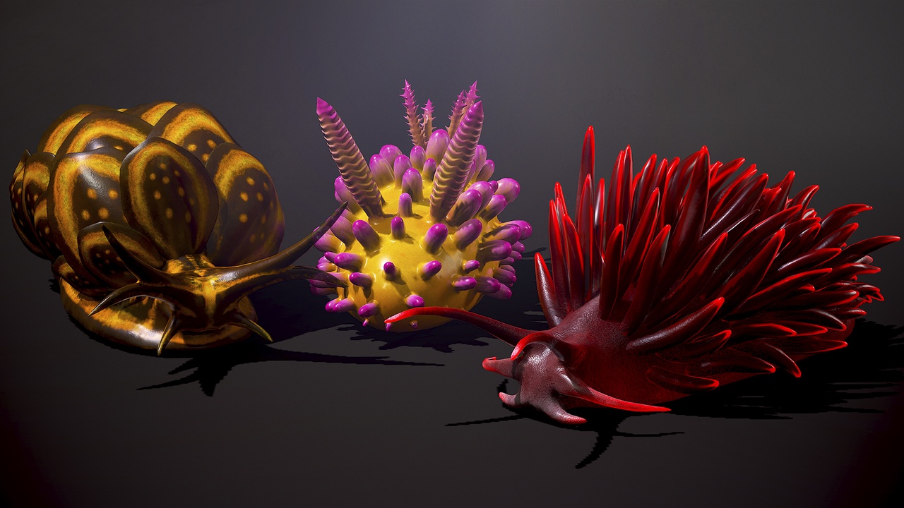 Sea Slugs Pack 제품 등록을 위한 미디어 1개