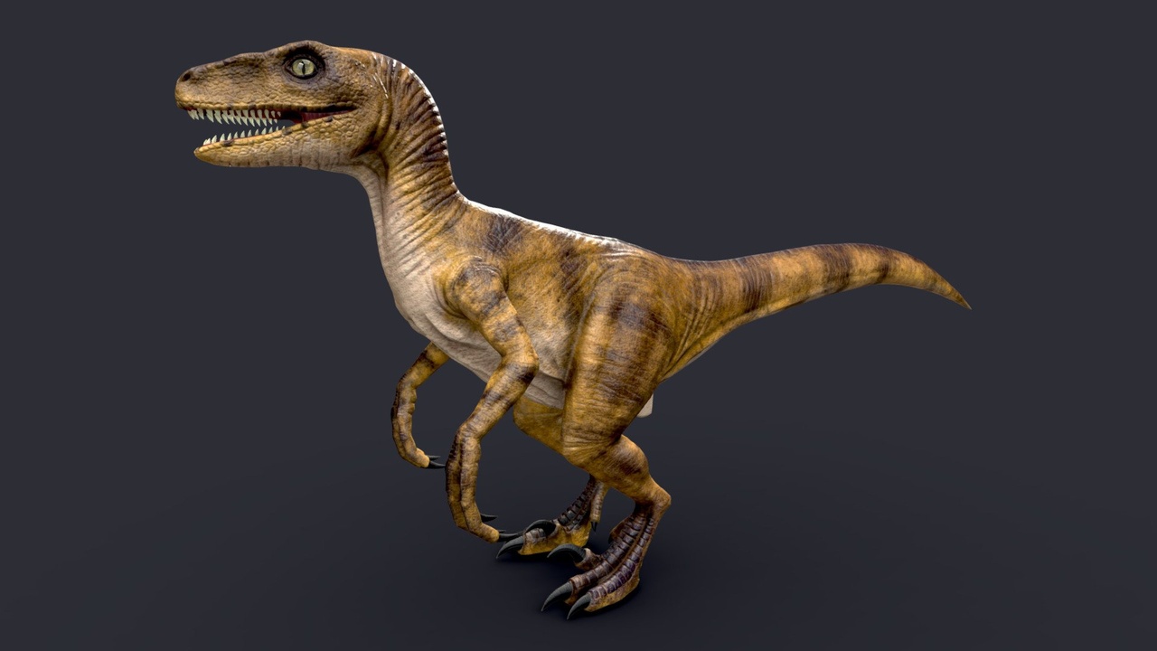 Media 1 for listing Velociraptor