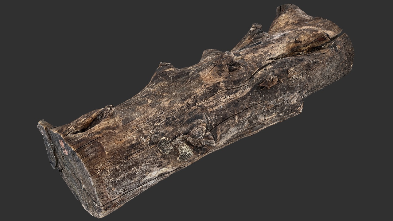 Media 1 for listing Realistic Cracked tree trunk timber wood 3D Scan in highpoly