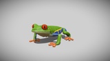 Red-eyed tree frog | Fab