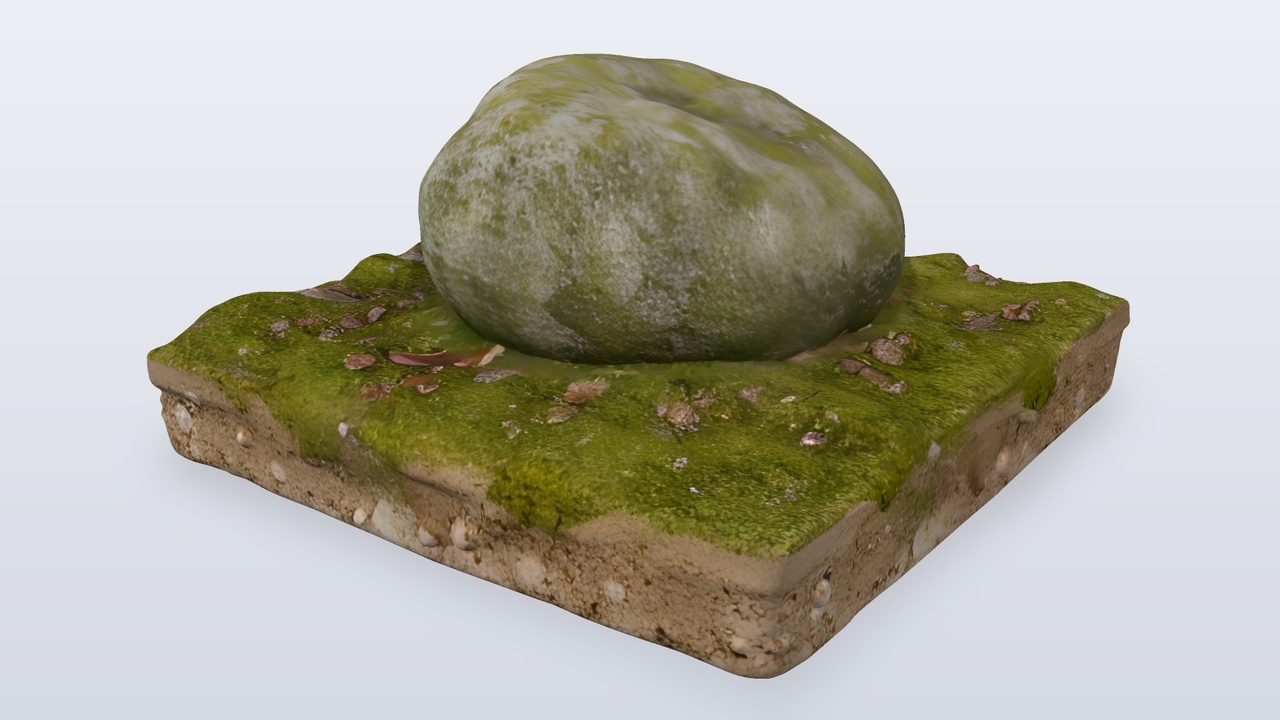 Media 1 for listing Mossy Forest Boulder Realistic Terrain Tile